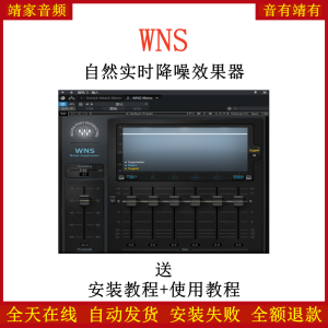 WNS插件自然实时降噪效果器-靖家混音网