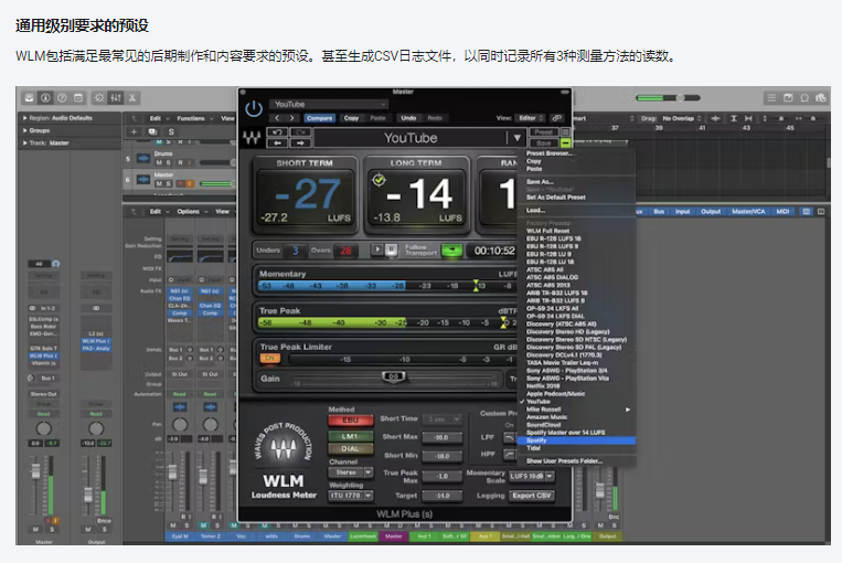 图片[8]-WLM Plus插件响度/音量监测效果器