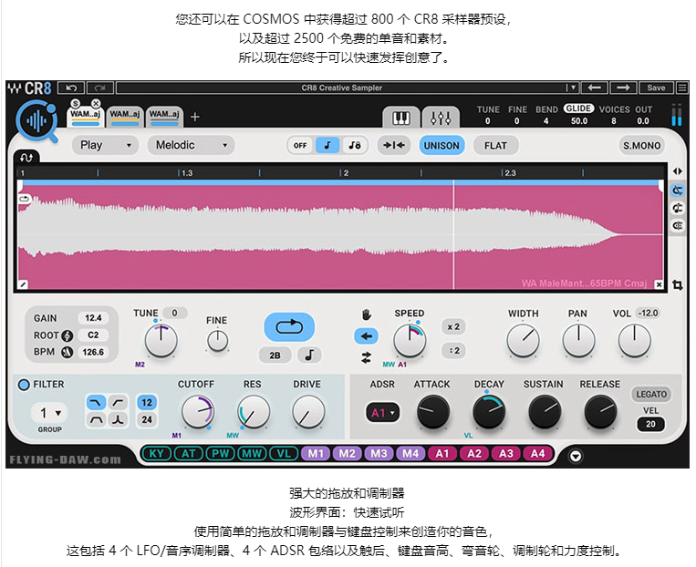 图片[7]-CR8 Creative Sampler音频模拟采样器，音乐制作编曲插件，混音效果器，