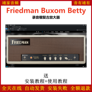 Friedman Buxom Betty效果器录音棚复古放大器插件-靖家混音网