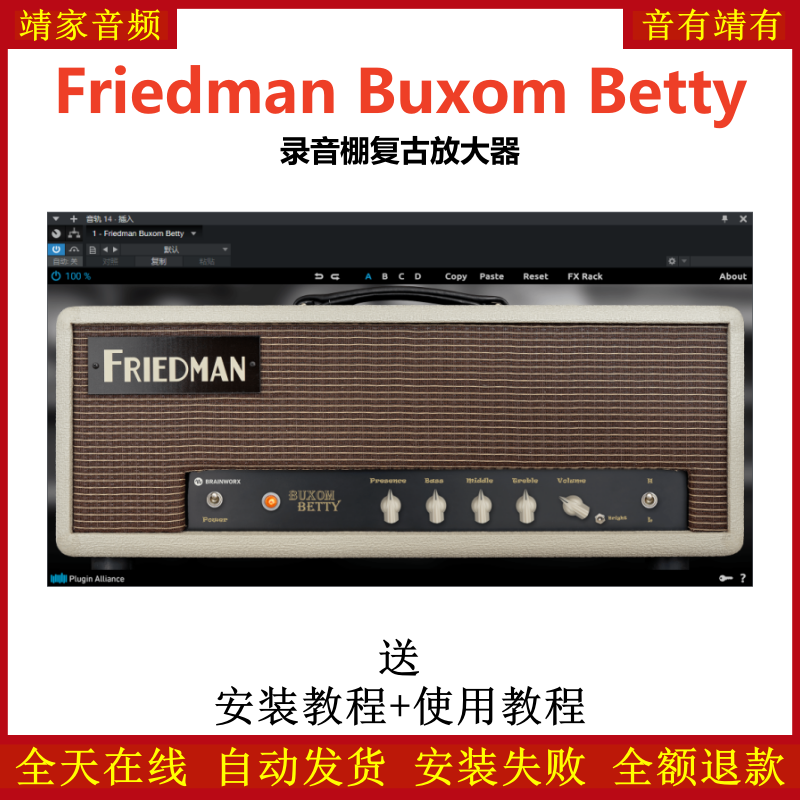 Friedman Buxom Betty效果器录音棚复古放大器插件
