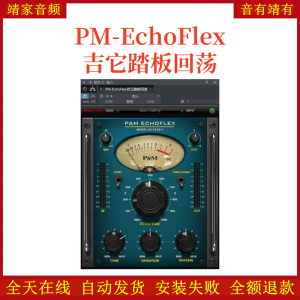 PM-EchoFlex吉它踏板回荡VST2效果器32位插件-靖家混音网