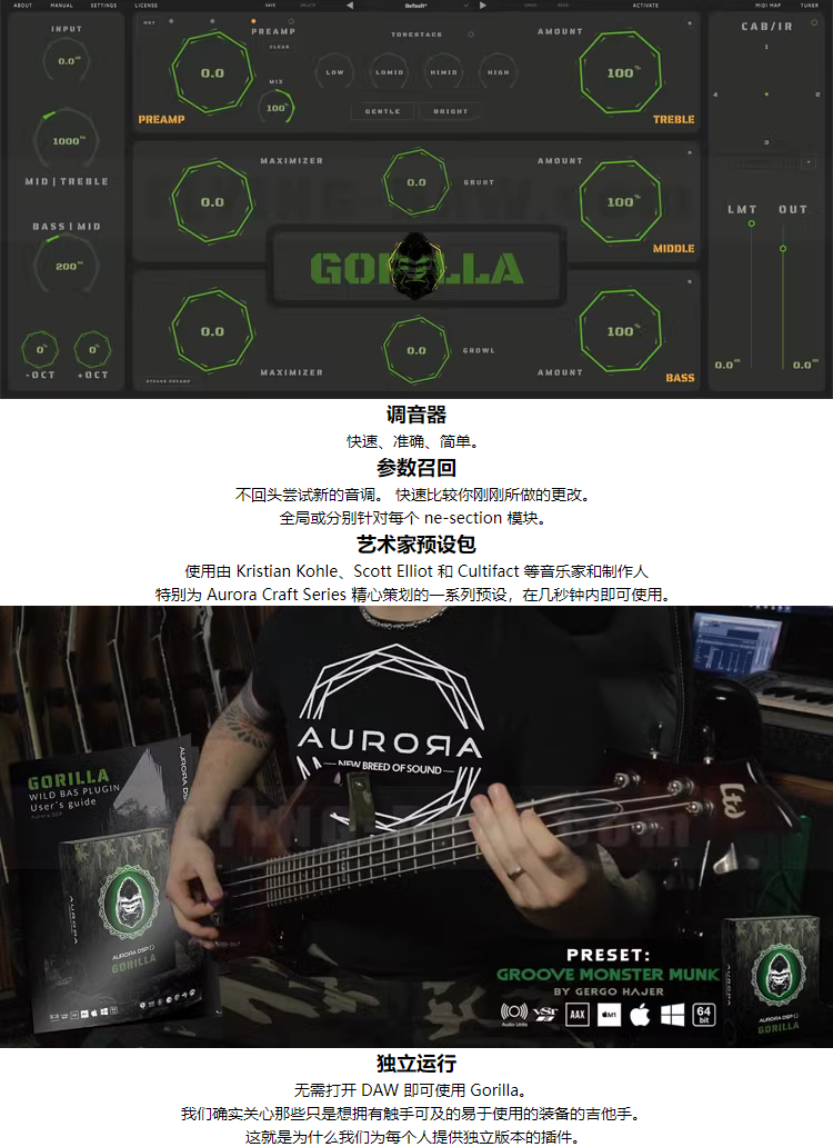 图片[5]-Gorilla插件大猩猩强力电贝斯低音拍打效果器