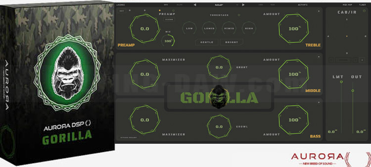 图片[6]-Gorilla插件大猩猩强力电贝斯低音拍打效果器