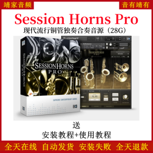 Session Horns Pro现代流行铜管独奏合奏音色—KONTAKT音源（28G）-靖家混音网