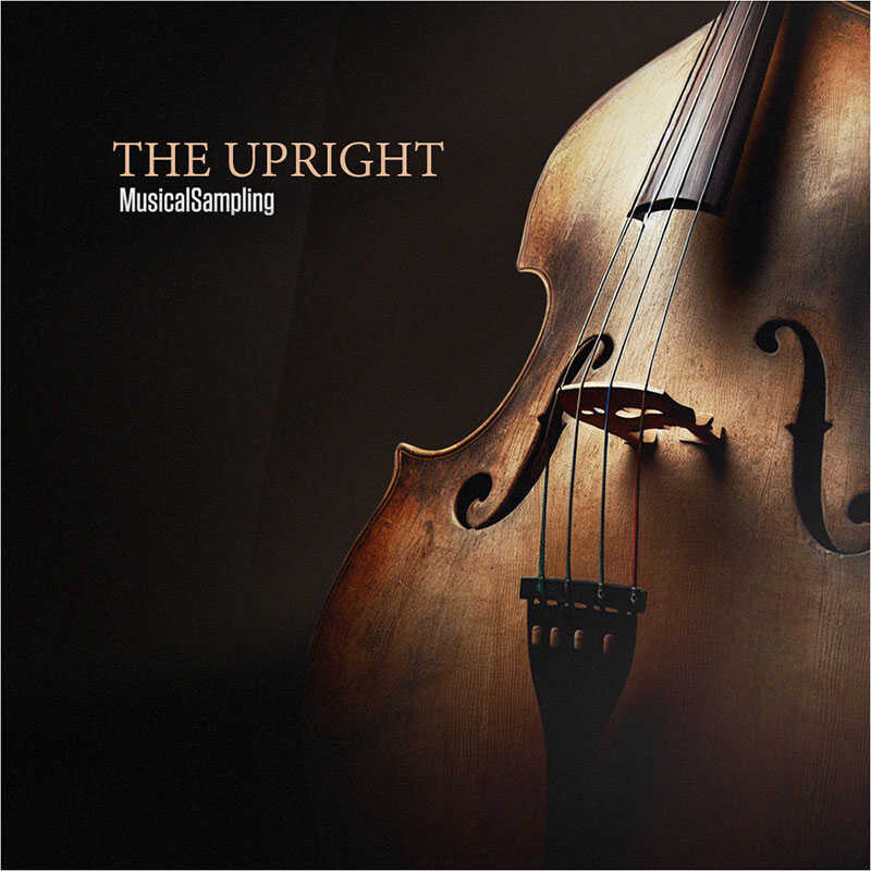 图片[2]-The Upright立式拨琴低音提琴音色—KONTAKT音源（1G）