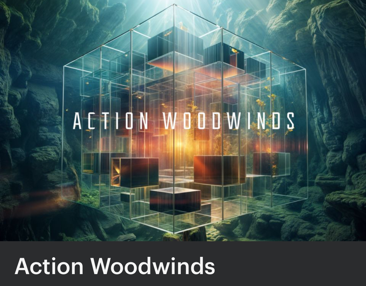 图片[2]-Action Woodwinds动作大片电影配乐木管Loop乐句音色—KONTAKT音源（21G）