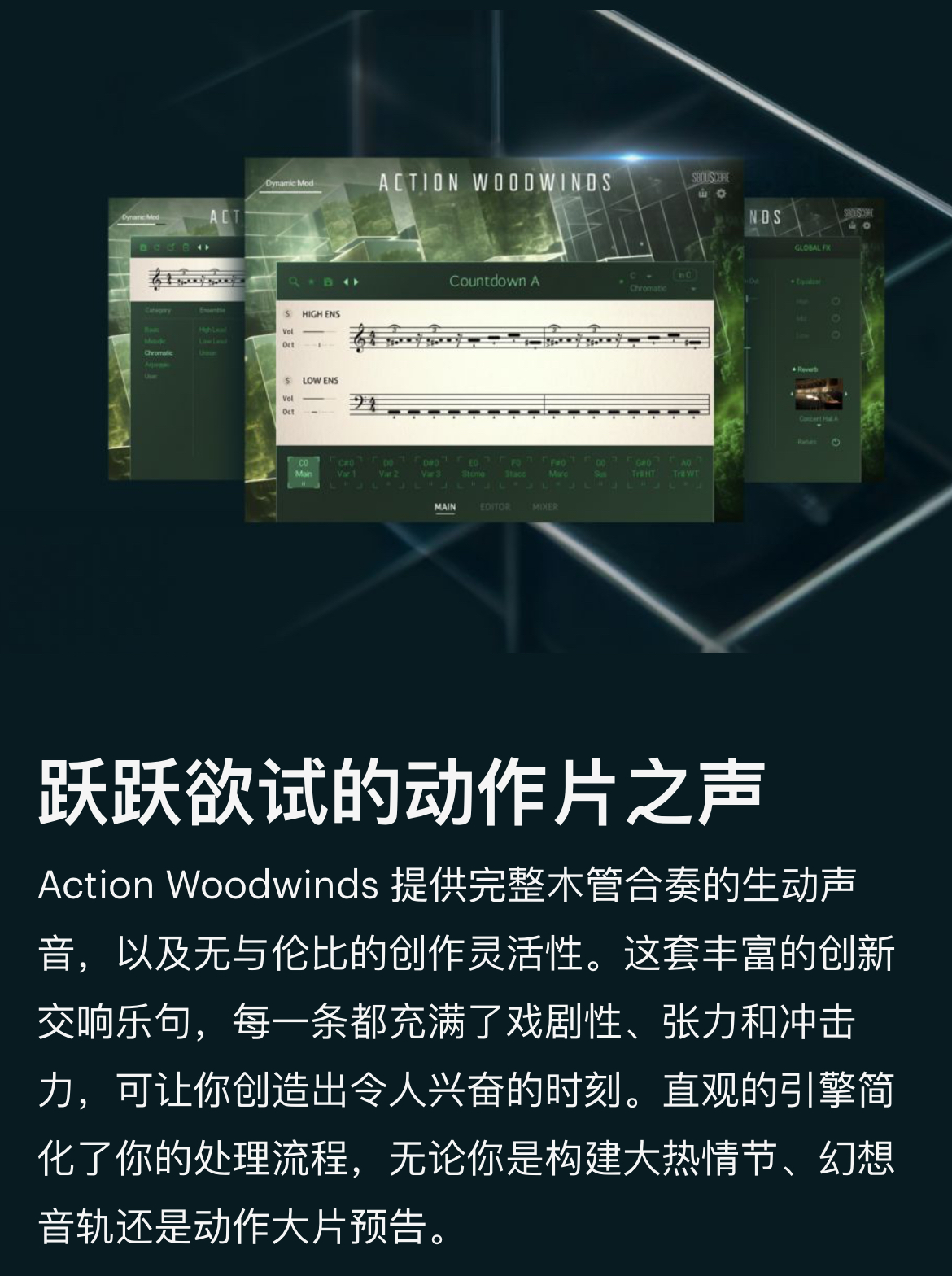 图片[4]-Action Woodwinds动作大片电影配乐木管Loop乐句音色—KONTAKT音源（21G）