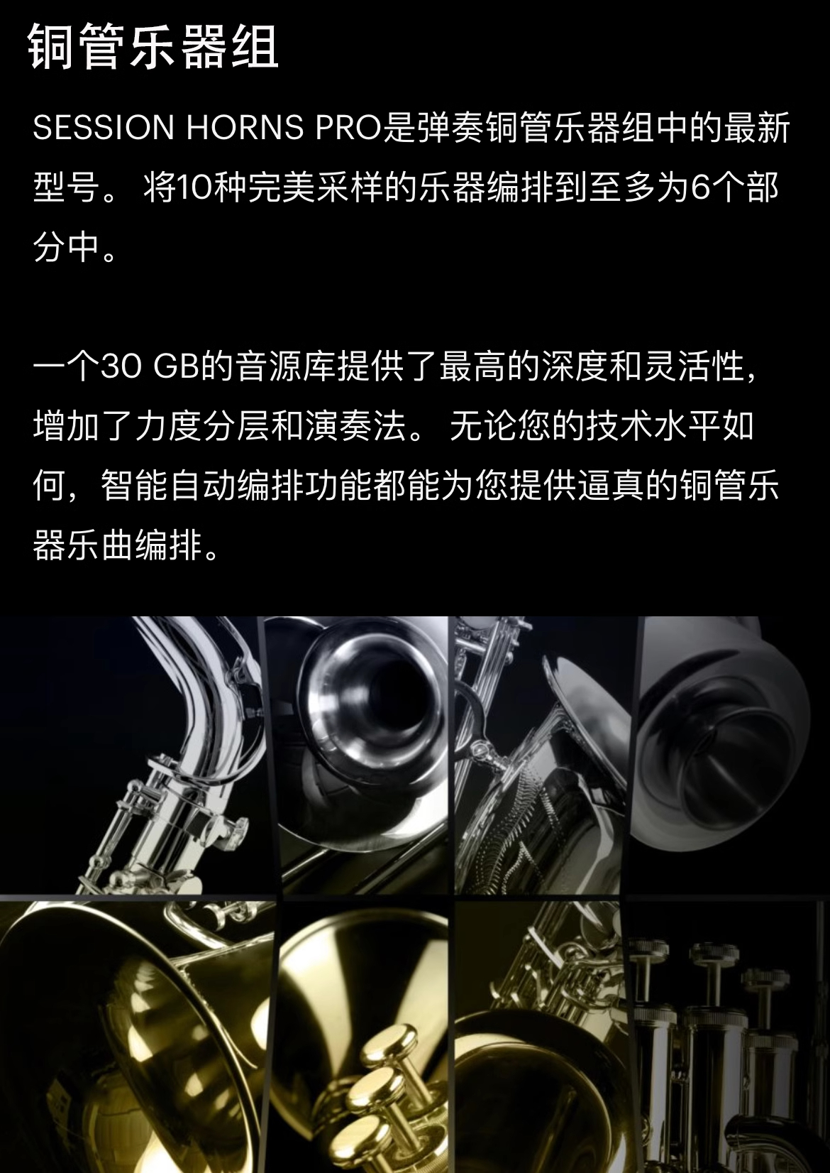 图片[6]-Session Horns Pro现代流行铜管独奏合奏音色—KONTAKT音源（28G）
