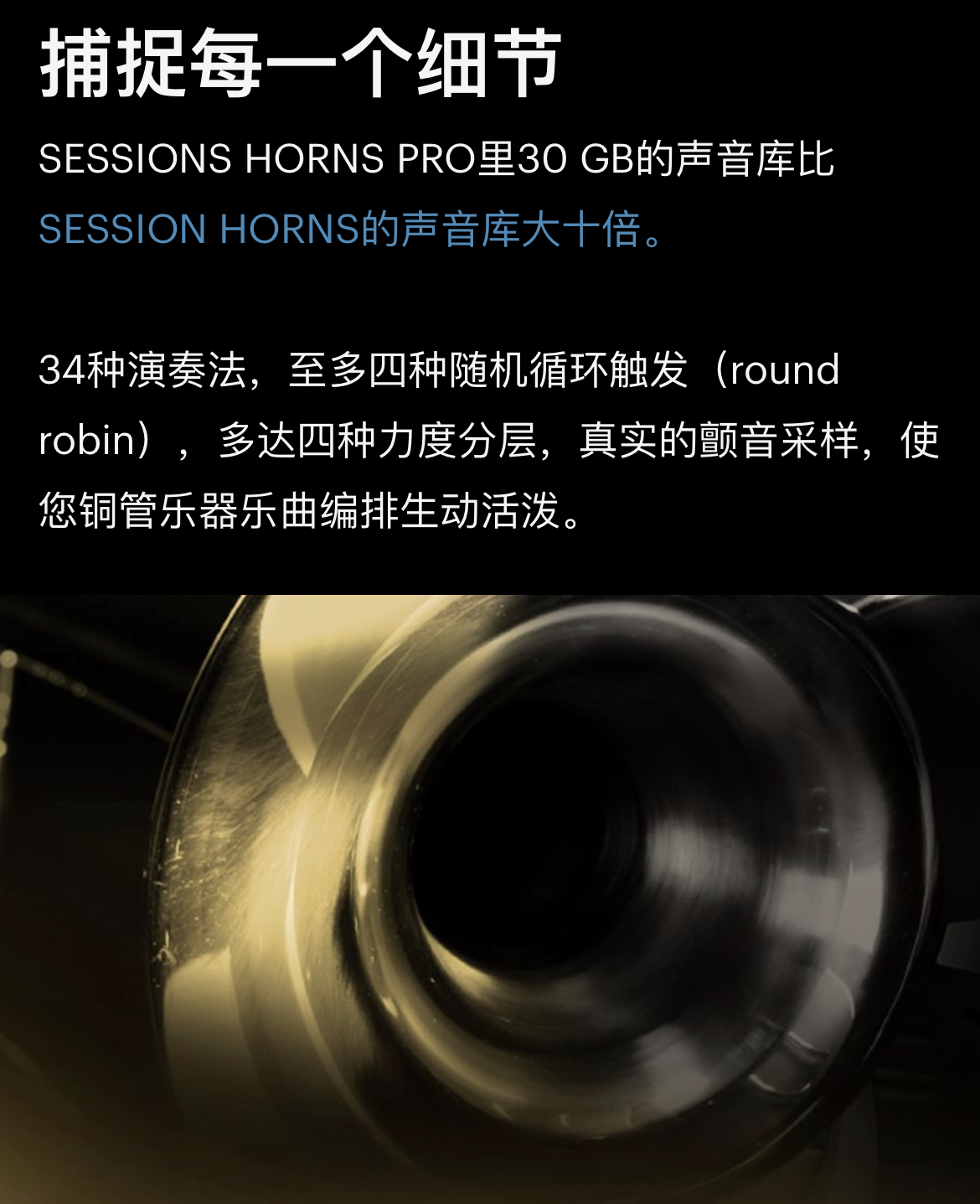 图片[9]-Session Horns Pro现代流行铜管独奏合奏音色—KONTAKT音源（28G）