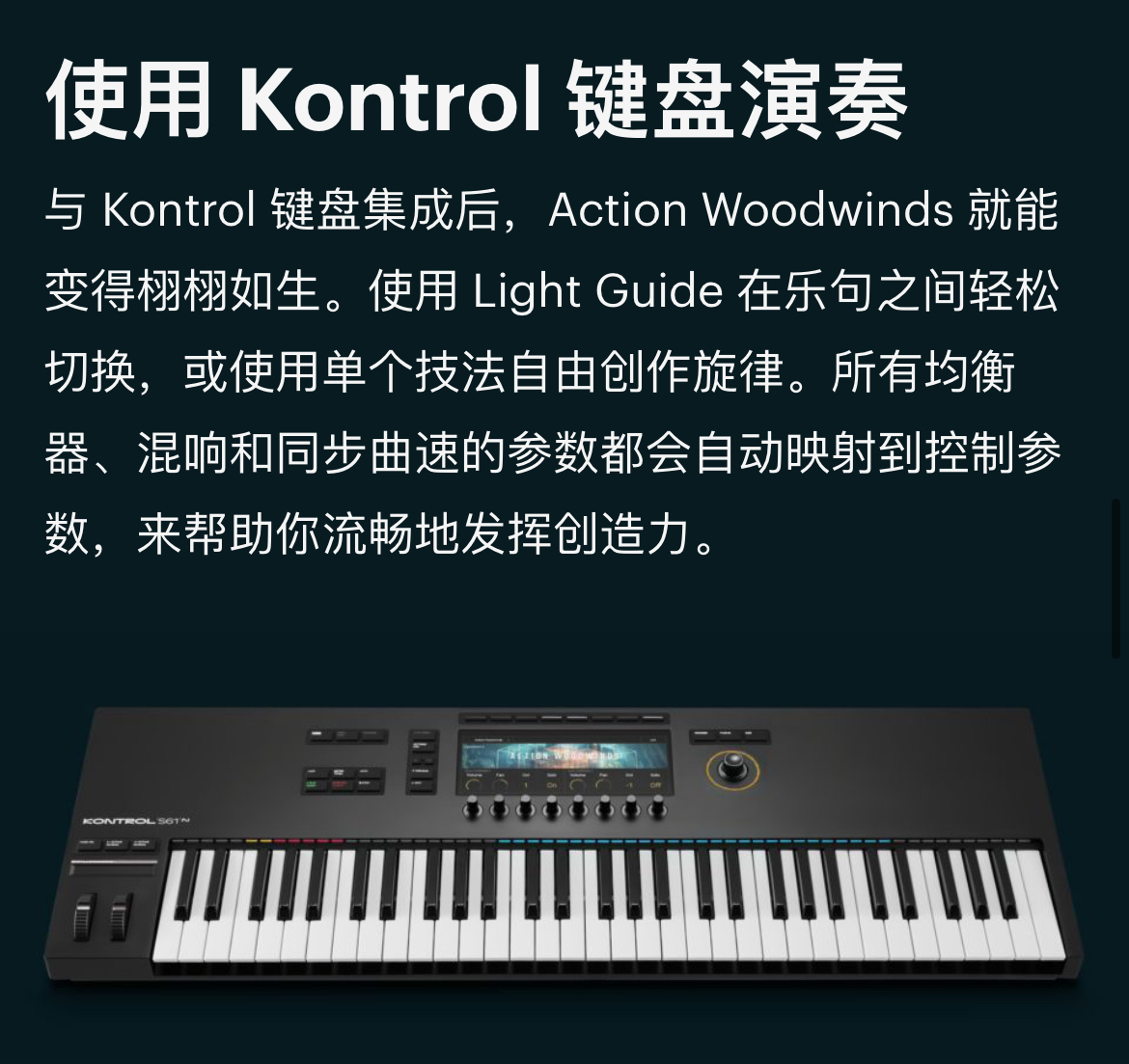 图片[12]-Action Woodwinds动作大片电影配乐木管Loop乐句音色—KONTAKT音源（21G）