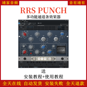 红岩RRS PUNCH音频插件多功能通道条效果器-靖家混音网