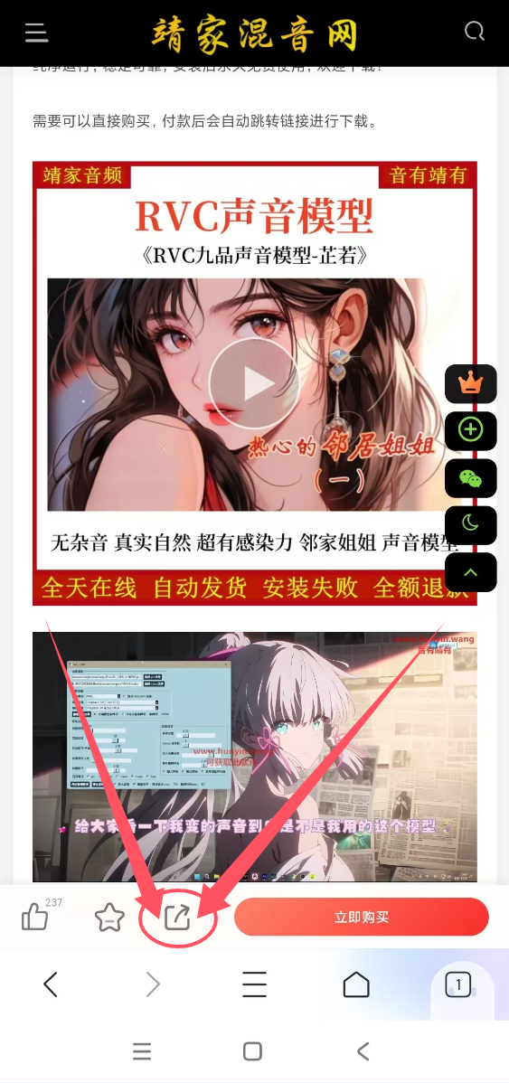 图片[2]-靖家混音网-VIP简介