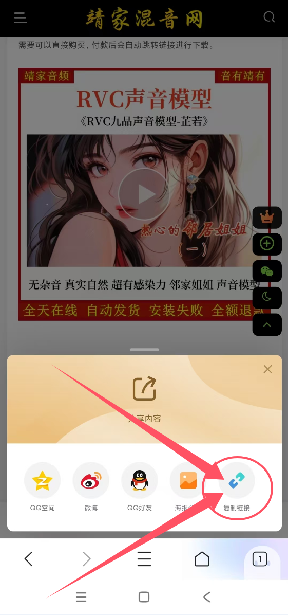图片[3]-靖家混音网-VIP简介