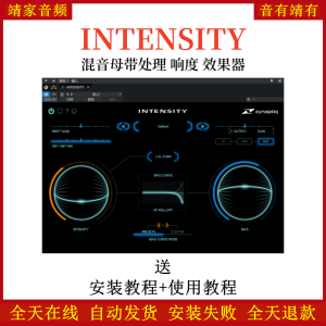 Zynaptiq INTENSITY音频插件混音母带处理响度效果器-靖家混音网